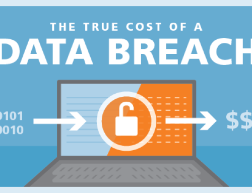 Cyber-Security: The Costs of Data Breaches